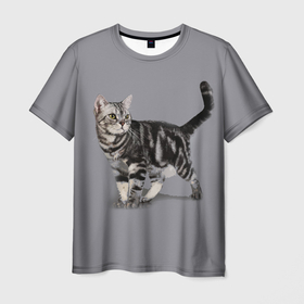 Мужская футболка 3D с принтом Британская мраморная кошечка в Тюмени, 100% полиэфир | прямой крой, круглый вырез горловины, длина до линии бедер | british | cat | cats | kitty | британская | британская мраморная | британские | британский | кот | котёнок | котик | котята | кошечка | кошка | серый кот