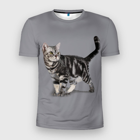 Мужская футболка 3D Slim с принтом Британская мраморная кошечка в Кировске, 100% полиэстер с улучшенными характеристиками | приталенный силуэт, круглая горловина, широкие плечи, сужается к линии бедра | british | cat | cats | kitty | британская | британская мраморная | британские | британский | кот | котёнок | котик | котята | кошечка | кошка | серый кот