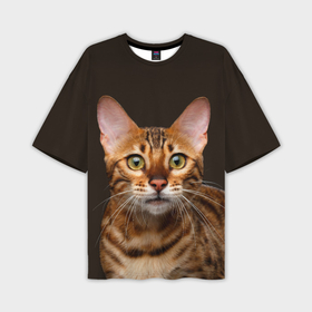 Мужская футболка oversize 3D с принтом Молодая бенгальская кошка в Белгороде,  |  | bengal | cat | cats | kitty | бенгал | бенгальская | бенгальская кошка | бенгальские | бенгальский | кот | котёнок | котята | кошка | леопард | леопардовая | леопардовый