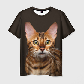 Мужская футболка 3D с принтом Молодая бенгальская кошка в Курске, 100% полиэфир | прямой крой, круглый вырез горловины, длина до линии бедер | bengal | cat | cats | kitty | бенгал | бенгальская | бенгальская кошка | бенгальские | бенгальский | кот | котёнок | котята | кошка | леопард | леопардовая | леопардовый