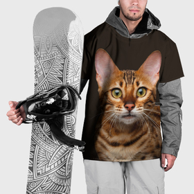 Накидка на куртку 3D с принтом Молодая бенгальская кошка в Петрозаводске, 100% полиэстер |  | bengal | cat | cats | kitty | бенгал | бенгальская | бенгальская кошка | бенгальские | бенгальский | кот | котёнок | котята | кошка | леопард | леопардовая | леопардовый