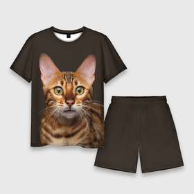Мужской костюм с шортами 3D с принтом Молодая бенгальская кошка в Курске,  |  | bengal | cat | cats | kitty | бенгал | бенгальская | бенгальская кошка | бенгальские | бенгальский | кот | котёнок | котята | кошка | леопард | леопардовая | леопардовый