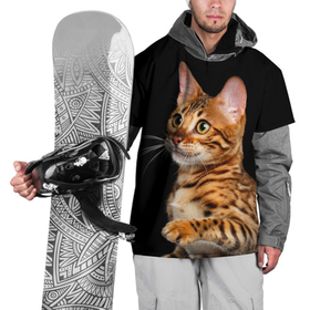 Накидка на куртку 3D с принтом Бенгальский котёнок на чёрном фоне в Санкт-Петербурге, 100% полиэстер |  | bengal | cat | cats | kitty | бенгал | бенгальская | бенгальская кошка | бенгальские | бенгальский | кот | котёнок | котята | кошка | леопард | леопардовая | леопардовый