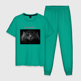 Мужская пижама хлопок с принтом Не дружелюбный кот в Кировске, 100% хлопок | брюки и футболка прямого кроя, без карманов, на брюках мягкая резинка на поясе и по низу штанин
 | 