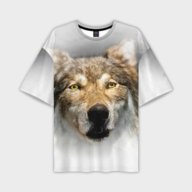 Мужская футболка oversize 3D с принтом Волк: зима в Новосибирске,  |  | Тематика изображения на принте: 