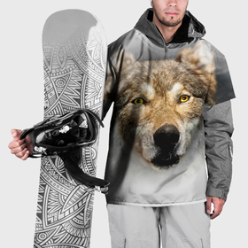 Накидка на куртку 3D с принтом Волк: зима в Петрозаводске, 100% полиэстер |  | Тематика изображения на принте: 