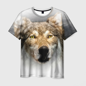 Мужская футболка 3D с принтом Волк: зима в Петрозаводске, 100% полиэфир | прямой крой, круглый вырез горловины, длина до линии бедер | Тематика изображения на принте: 