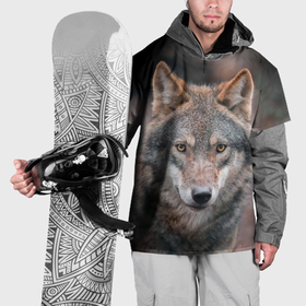 Накидка на куртку 3D с принтом Волк с грустными глазами в Белгороде, 100% полиэстер |  | 
