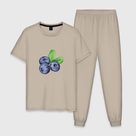 Мужская пижама хлопок с принтом Три ежевики с листьями в Тюмени, 100% хлопок | брюки и футболка прямого кроя, без карманов, на брюках мягкая резинка на поясе и по низу штанин
 | еда | ежевика | листья | синий | фиолетовый | ягода