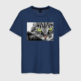 Мужская футболка хлопок с принтом Британский мраморный кот   крупный план в Петрозаводске, 100% хлопок | прямой крой, круглый вырез горловины, длина до линии бедер, слегка спущенное плечо. | 