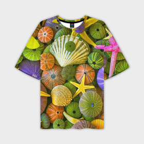 Мужская футболка oversize 3D с принтом Композиция из морских звёзд и ракушек в Новосибирске,  |  | color | composition | shell | starfish | композиция | морская звезда | ракушка | цвет