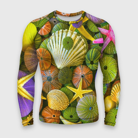 Мужской рашгард 3D с принтом Композиция из морских звёзд и ракушек в Новосибирске,  |  | color | composition | shell | starfish | композиция | морская звезда | ракушка | цвет