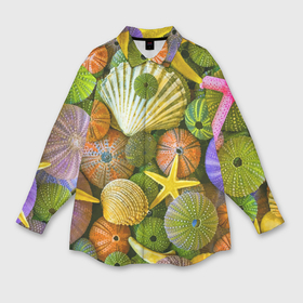 Мужская рубашка oversize 3D с принтом Композиция из морских звёзд и ракушек в Новосибирске,  |  | color | composition | shell | starfish | композиция | морская звезда | ракушка | цвет