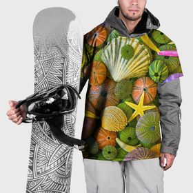 Накидка на куртку 3D с принтом Композиция из морских звёзд и ракушек в Новосибирске, 100% полиэстер |  | color | composition | shell | starfish | композиция | морская звезда | ракушка | цвет