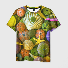 Мужская футболка 3D с принтом Композиция из морских звёзд и ракушек в Новосибирске, 100% полиэфир | прямой крой, круглый вырез горловины, длина до линии бедер | color | composition | shell | starfish | композиция | морская звезда | ракушка | цвет
