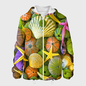 Мужская куртка 3D с принтом Композиция из морских звёзд и ракушек в Новосибирске, ткань верха — 100% полиэстер, подклад — флис | прямой крой, подол и капюшон оформлены резинкой с фиксаторами, два кармана без застежек по бокам, один большой потайной карман на груди. Карман на груди застегивается на липучку | color | composition | shell | starfish | композиция | морская звезда | ракушка | цвет