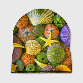 Шапка 3D с принтом Композиция из морских звёзд и ракушек в Белгороде, 100% полиэстер | универсальный размер, печать по всей поверхности изделия | color | composition | shell | starfish | композиция | морская звезда | ракушка | цвет