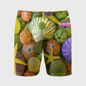Мужские шорты спортивные с принтом Композиция из морских звёзд и ракушек в Новосибирске,  |  | color | composition | shell | starfish | композиция | морская звезда | ракушка | цвет