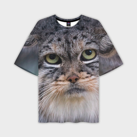 Мужская футболка oversize 3D с принтом Дикий кот манул в Санкт-Петербурге,  |  | 