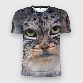 Мужская футболка 3D Slim с принтом Дикий кот манул в Санкт-Петербурге, 100% полиэстер с улучшенными характеристиками | приталенный силуэт, круглая горловина, широкие плечи, сужается к линии бедра | 
