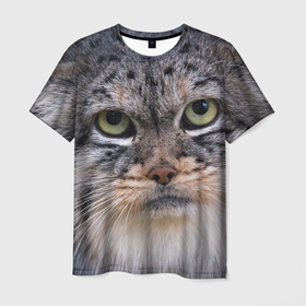 Мужская футболка 3D с принтом Дикий кот манул , 100% полиэфир | прямой крой, круглый вырез горловины, длина до линии бедер | Тематика изображения на принте: 