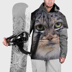 Накидка на куртку 3D с принтом Дикий кот манул в Новосибирске, 100% полиэстер |  | 