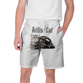 Мужские шорты 3D с принтом Британская кошка мраморного окраса в Кировске,  полиэстер 100% | прямой крой, два кармана без застежек по бокам. Мягкая трикотажная резинка на поясе, внутри которой широкие завязки. Длина чуть выше колен | 
