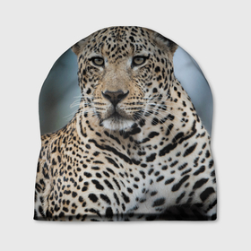 Шапка 3D с принтом Леопард африканский в Белгороде, 100% полиэстер | универсальный размер, печать по всей поверхности изделия | 