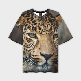 Мужская футболка oversize 3D с принтом Молодой леопард в Курске,  |  | 