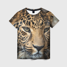 Женская футболка 3D с принтом Молодой леопард в Курске, 100% полиэфир ( синтетическое хлопкоподобное полотно) | прямой крой, круглый вырез горловины, длина до линии бедер | 