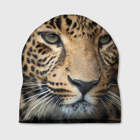 Шапка 3D с принтом Молодой леопард в Курске, 100% полиэстер | универсальный размер, печать по всей поверхности изделия | 