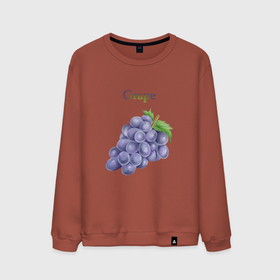 Мужской свитшот хлопок с принтом Grape виноград в Курске, 100% хлопок |  | Тематика изображения на принте: grape | виноград | еда | лето | фрукты | ягоды