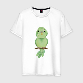 Мужская футболка хлопок с принтом Зелёная птица в Новосибирске, 100% хлопок | прямой крой, круглый вырез горловины, длина до линии бедер, слегка спущенное плечо. | зелёный | клюв | перья | попугай | птица