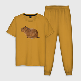 Мужская пижама хлопок с принтом Капибара сидит и спит , 100% хлопок | брюки и футболка прямого кроя, без карманов, на брюках мягкая резинка на поясе и по низу штанин
 | 