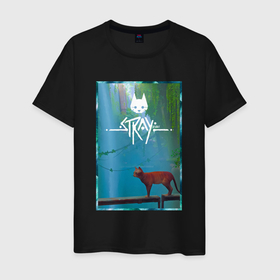 Мужская футболка хлопок с принтом Stray кот Начало путешествия в Петрозаводске, 100% хлопок | прямой крой, круглый вырез горловины, длина до линии бедер, слегка спущенное плечо. | 