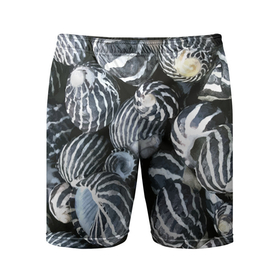 Мужские шорты спортивные с принтом Паттерн из океанских ракушек в Кировске,  |  | 