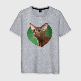 Мужская футболка хлопок с принтом Ориентальная кошка в Санкт-Петербурге, 100% хлопок | прямой крой, круглый вырез горловины, длина до линии бедер, слегка спущенное плечо. | 
