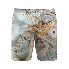 Мужские шорты спортивные с принтом Морские звёзды и ракушки на океанском песке в Тюмени,  |  | 