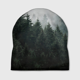 Шапка 3D с принтом Туманный хвойный лес в Курске, 100% полиэстер | универсальный размер, печать по всей поверхности изделия | 