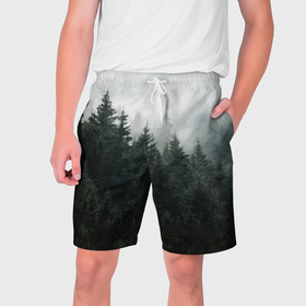 Мужские шорты 3D с принтом Туманный хвойный лес в Тюмени,  полиэстер 100% | прямой крой, два кармана без застежек по бокам. Мягкая трикотажная резинка на поясе, внутри которой широкие завязки. Длина чуть выше колен | Тематика изображения на принте: 