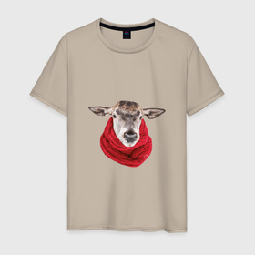 Мужская футболка хлопок с принтом Теленок в шарфе в Екатеринбурге, 100% хлопок | прямой крой, круглый вырез горловины, длина до линии бедер, слегка спущенное плечо. | 