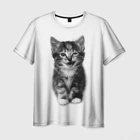 Мужская футболка 3D с принтом Мелкий котейка в Кировске, 100% полиэфир | прямой крой, круглый вырез горловины, длина до линии бедер | 