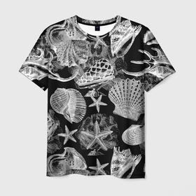 Мужская футболка 3D с принтом Композиция из ракушек, кораллов и морских звёзд , 100% полиэфир | прямой крой, круглый вырез горловины, длина до линии бедер | 