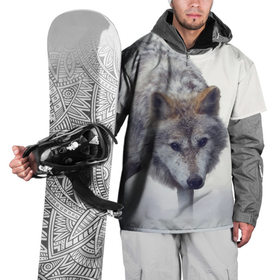 Накидка на куртку 3D с принтом Волк зимой в Петрозаводске, 100% полиэстер |  | Тематика изображения на принте: 