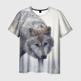 Мужская футболка 3D с принтом Волк зимой в Петрозаводске, 100% полиэфир | прямой крой, круглый вырез горловины, длина до линии бедер | Тематика изображения на принте: 