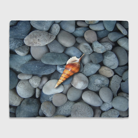 Плед 3D с принтом Одинокая ракушка среди морских камней в Кировске, 100% полиэстер | закругленные углы, все края обработаны. Ткань не мнется и не растягивается | 