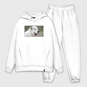 Мужской костюм oversize хлопок Довольный Алабай: в городе Новоалтайск,  |  |