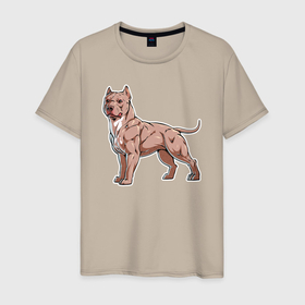 Мужская футболка хлопок с принтом Американский пёс булли в Тюмени, 100% хлопок | прямой крой, круглый вырез горловины, длина до линии бедер, слегка спущенное плечо. | Тематика изображения на принте: 