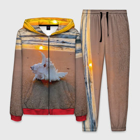 Мужской костюм 3D с принтом Ракушка на песочном берегу тихого океана в Екатеринбурге, 100% полиэстер | Манжеты и пояс оформлены тканевой резинкой, двухслойный капюшон со шнурком для регулировки, карманы спереди | 
