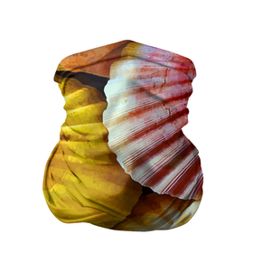 Бандана-труба 3D с принтом Разноцветные створки океанских раковин в Белгороде, 100% полиэстер, ткань с особыми свойствами — Activecool | плотность 150‒180 г/м2; хорошо тянется, но сохраняет форму | 